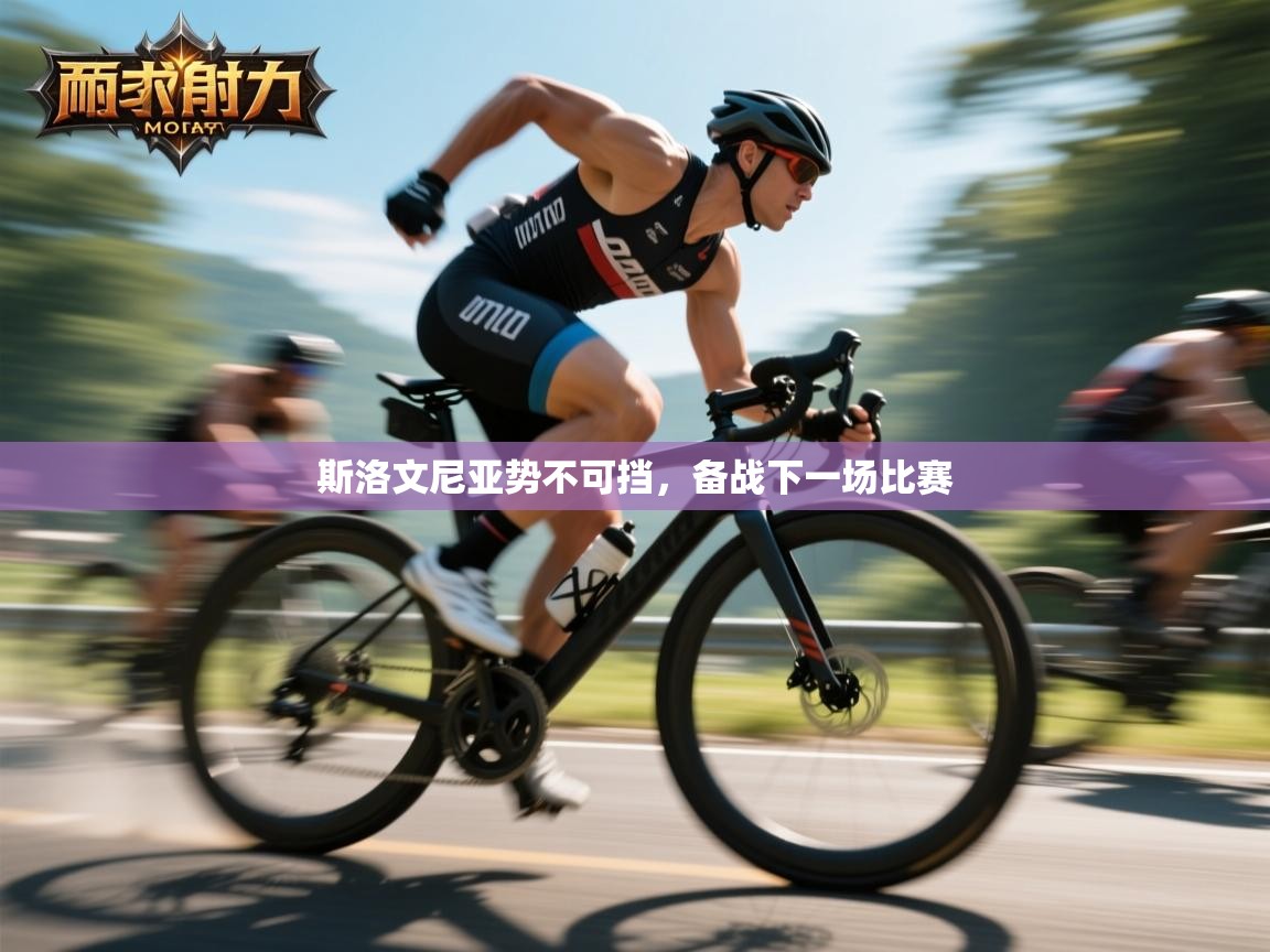 爱游戏娱乐体育官方入口-斯洛文尼亚势不可挡,备战下一场比赛 第1张